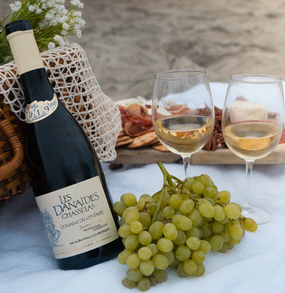 What is Chasselas?
